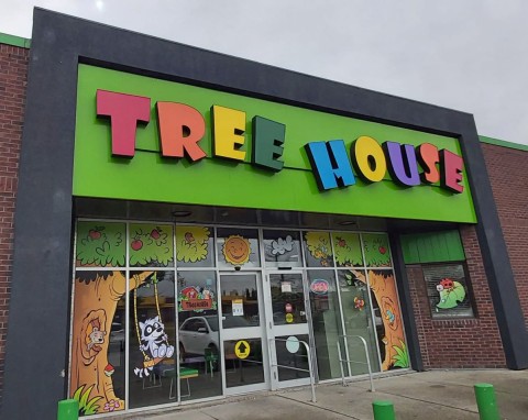 Calgary Attraction for Kids - The Treehouse Indoor Playground