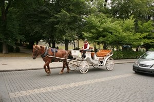 Horse Sightseeing Tours in Quebec City