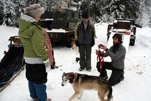 How to Harness a Dog Sled Team with Eric Marsden
