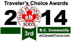 3rd Place Traveler's Choice Awards
