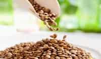 Andrew Coppolino's top food trends for 2016