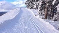 Yukon eyes winter visitors to boost tourism numbers (Travel Trends)