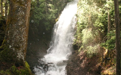 Traveler Choice Awards Fletcher Falls Hiking Trail