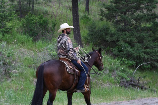 Clinton Cowboy