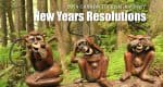 Canada Tourism New Years Resolutions