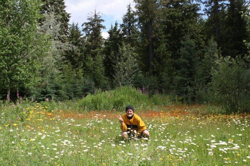 Flowers on Highway 16