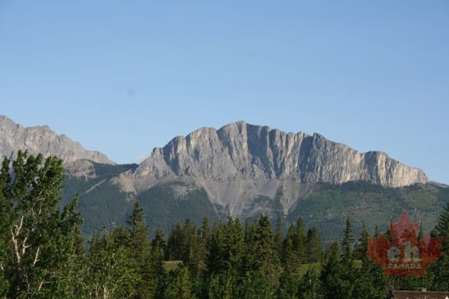 bow20101023_42.jpg