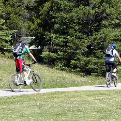 Terrace Trail - Near Canmore, Alberta, Canada