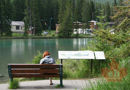 Sightseeing Benches on the Bow River