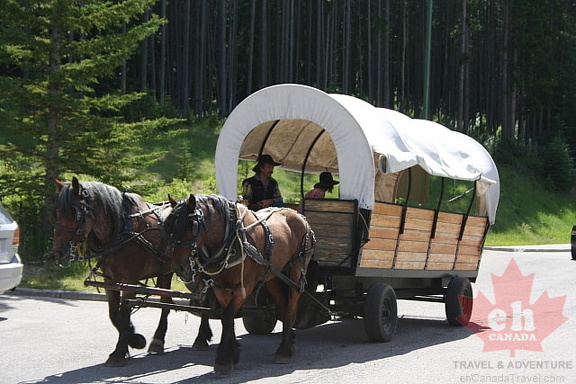 Chuck Wagon Tours - Banff, Alberta, Canada