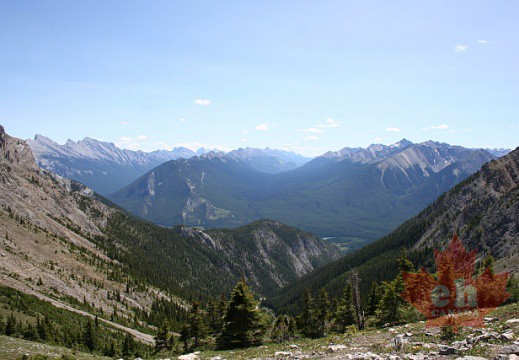 Valley Below from Cory Pass