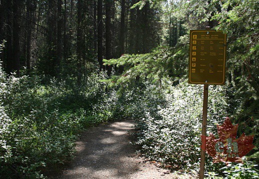 Cory Pass Trailhead Sign