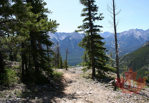 Cory Pass Trail