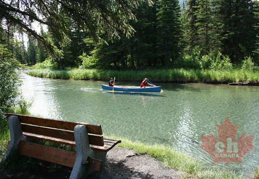Canoeing 40 Mile Creek
