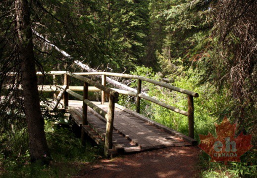 Trail Bridge