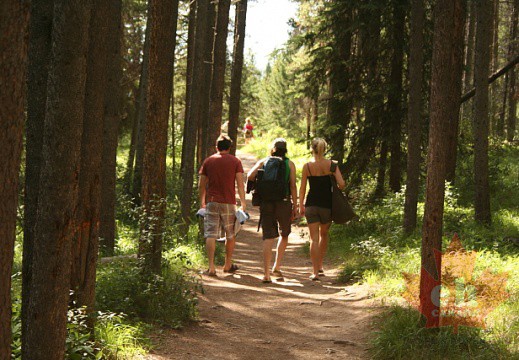 Johnson Lake Walking Trail