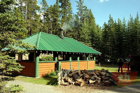 Shelter