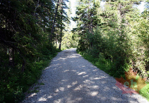 Marsh Loop Trail