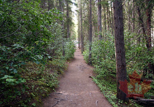 Stewart Canyon Trail