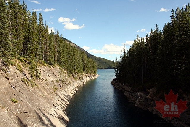 Suspension Bridge Views