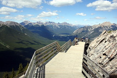 Alpine Boardwalk Pathway