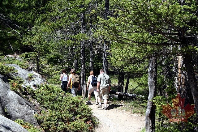hiking-trail20090720_82.JPG