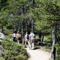 Tunnel Mountain Trail