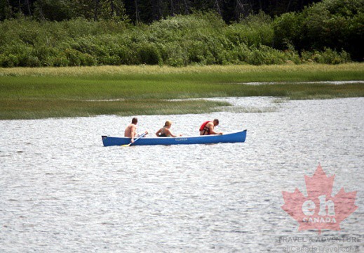 Vermillion Canoe Paddle