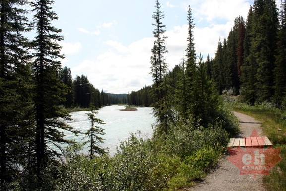 Bow River Trail
