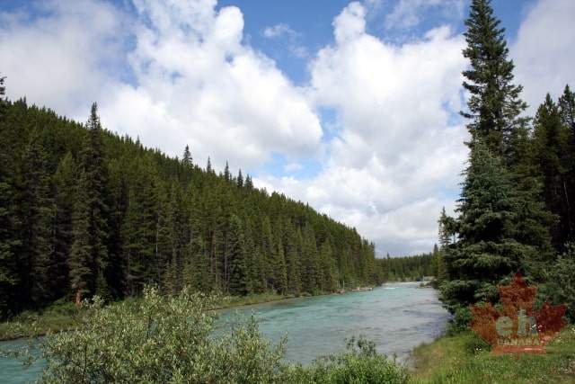 Bow River