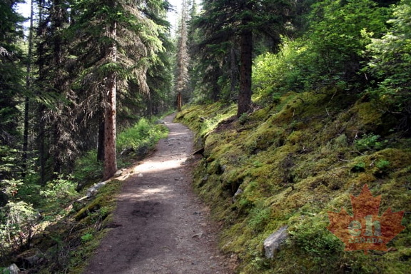 Hiking Trail