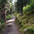 Hiking Trail
