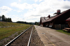 Train Tracks in Louise