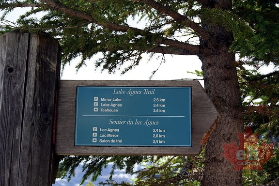 Trail Sign