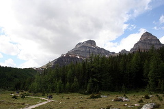 Larch Valley