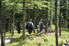 Larch Valley Hikers