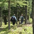 Larch Valley Hikers