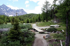 Bridge to the Meadow