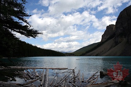 Views from Moraine Lake Pathway