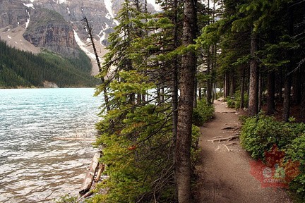 Moraine Lake Pathway