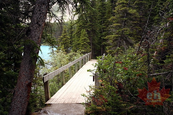 Boardwalk Trail