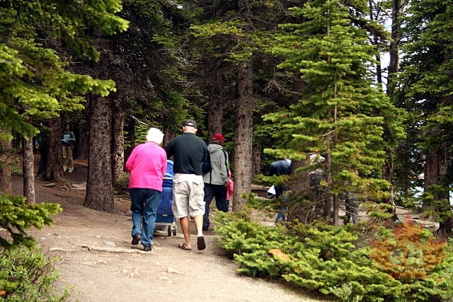 Moraine Lake Pathway