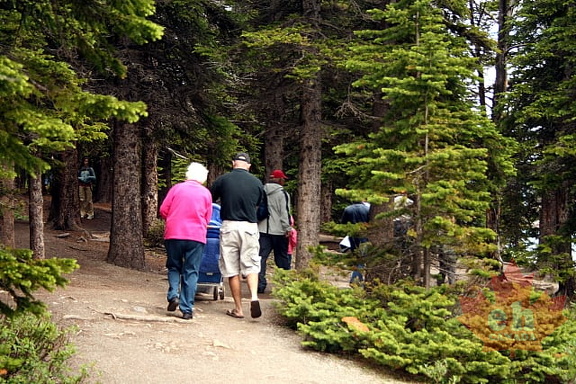 Moraine Lake Pathway