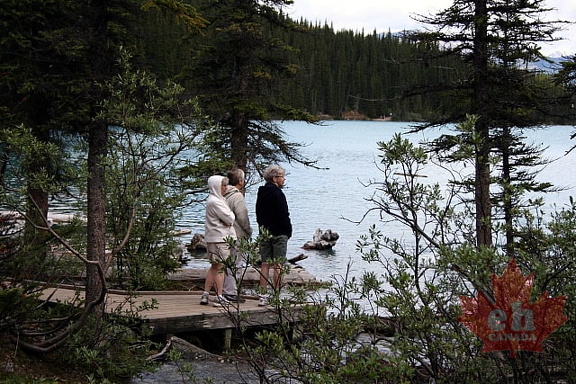 Moraine Lake Pathway