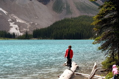Log Walking