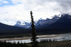 Saskatchewan Crossing Views