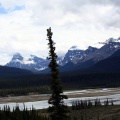 Saskatchewan Crossing Views