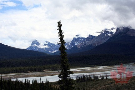 Saskatchewan Crossing Views