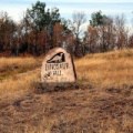 Dinosaur Hill