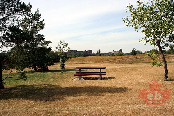 Picnicking in Muskoseepi Park
